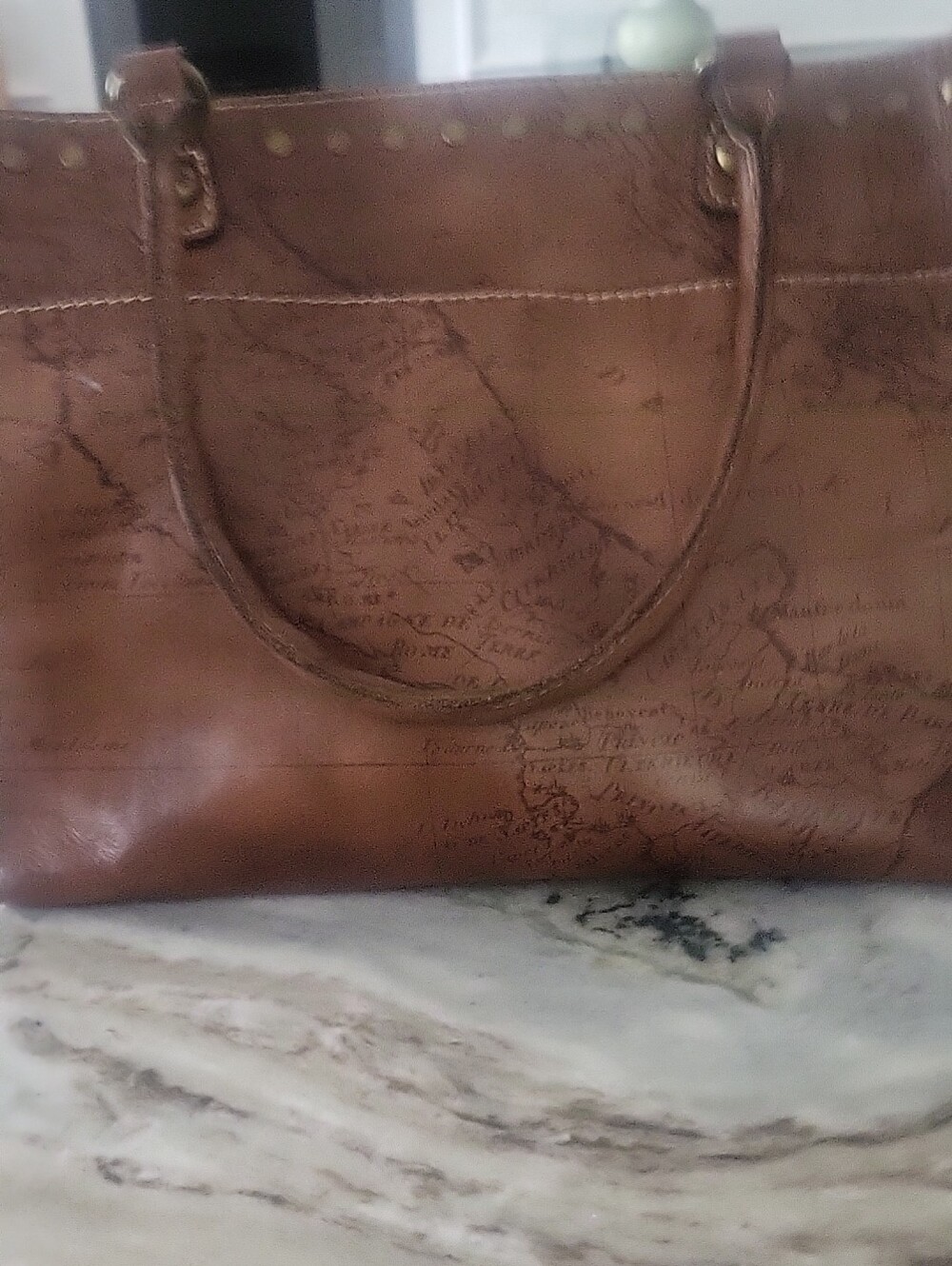 PATRICIA NASH MAP TOTE